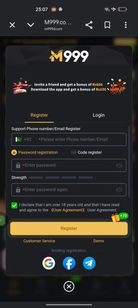 M999 Register